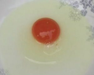 加麗素紅雞蛋 