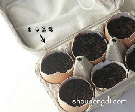 各種生活廢棄物品DIY制作花盆的創意大全 -  www.shougongdi.com