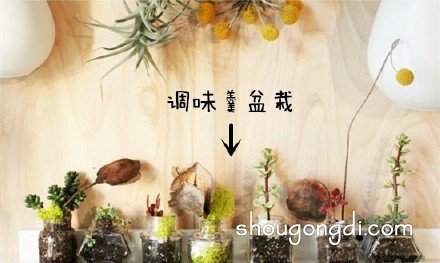 各種生活廢棄物品DIY制作花盆的創意大全 -  www.shougongdi.com