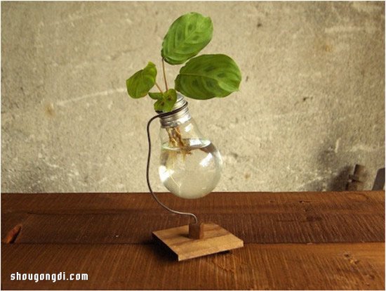 廢棄燈泡變廢為寶 DIY制作可愛的花盆花瓶- www.shougongdi.com