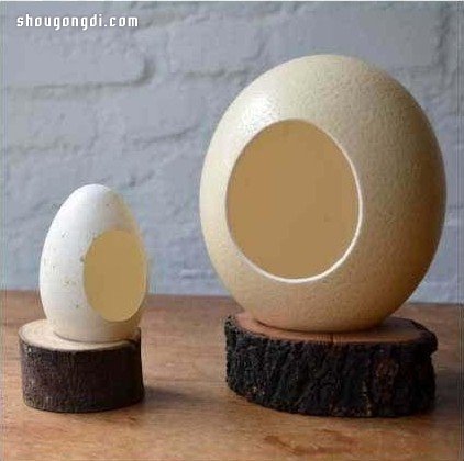 雞蛋殼變廢為寶制作微型花園小手工藝品- www.shougongdi.com