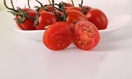 盆栽小西紅柿的方法