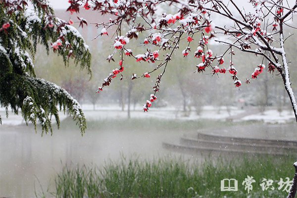 防冰雹知識