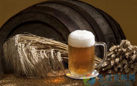 啤酒對於盆花的妙用你都了解嗎？