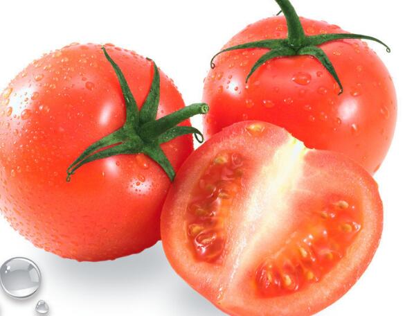 番茄的功效與作用及禁忌