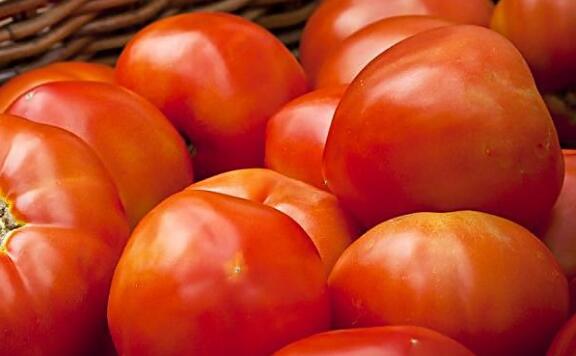 番茄的功效與作用及禁忌
