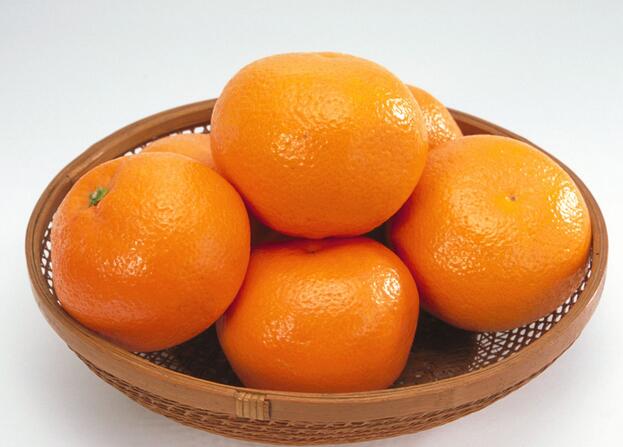 蜜橘的功效與作用及禁忌