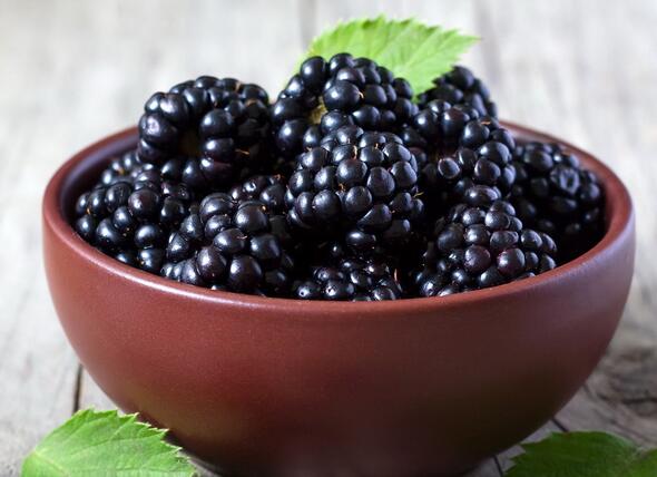 黑莓的功效與作用及禁忌