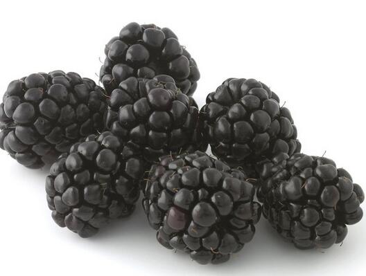 黑莓的功效與作用及禁忌