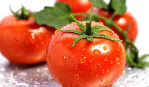 西紅柿的功效與作用及禁忌