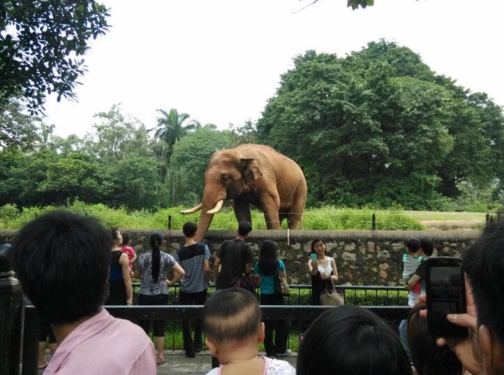 廣州動物園