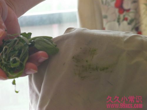 鹽可除青草漬 清洗衣服污漬有妙招