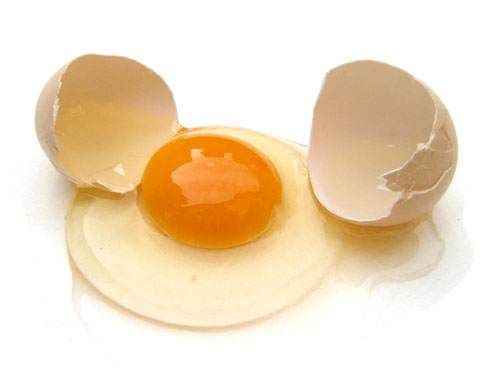 怎麼挑選新鮮雞蛋 讓人造蛋靠邊站