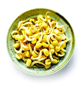 自己在家怎樣發黃豆芽 純天然綠色食品吃的更安心