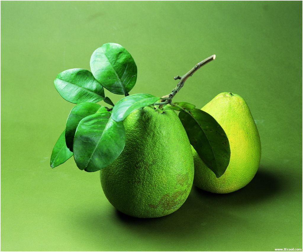 詳解柚子皮的用處與功效 空氣淨化好幫手