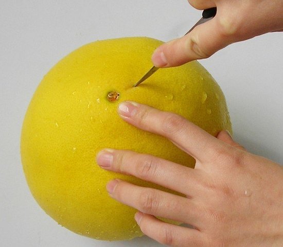柚子皮的功效與作用 吃完柚子皮不要扔