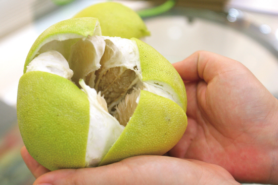 柚子皮的功效與作用 吃完柚子皮不要扔