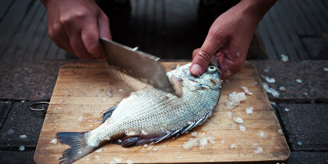 不小心弄破魚膽怎麼辦 魚膽有毒嗎