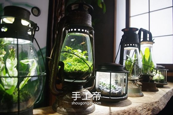 用煤油燈做魚缸的方法 手工DIY煤油燈水族箱 -  www.shougongdi.com