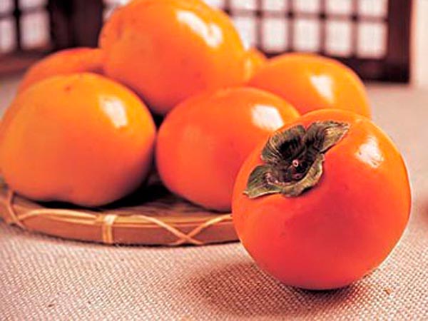 霜降為什麼要吃柿子？吃的時候又該注意哪些問題呢？