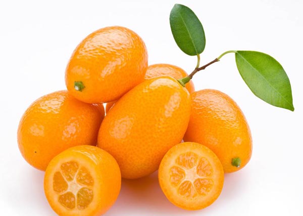 理氣化痰話金橘功效和作用