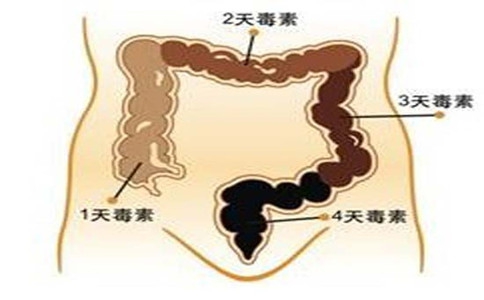 腸道藏毒