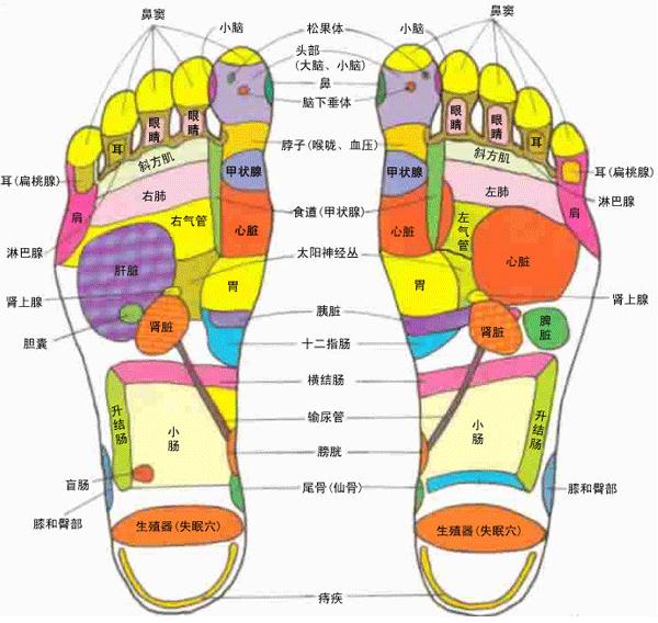 人體腳部穴位圖-人體足部高清穴位示意圖解