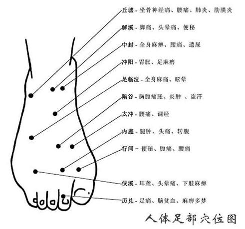 人體足部穴位圖
