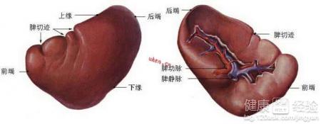 第1步