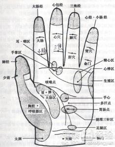 第1步