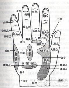 中醫按摩那些穴位可以養生長壽