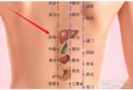 改善虛寒體質的妙招：艾灸3穴位