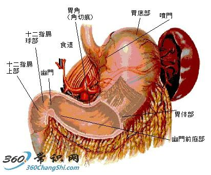 炒紅棗治療胃病