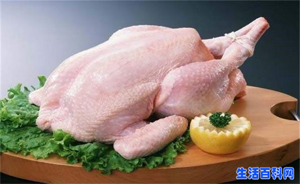 H7N9不敢吃雞肉？教你4招吃起來安全放心！