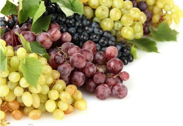 吃葡萄要不要吐葡萄籽？吃葡萄必知的5個小常識！