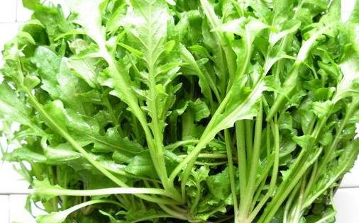 春季吃這些菜能夠養生哦