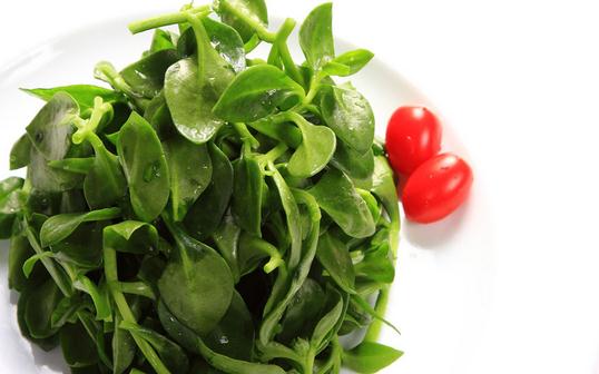 攝入過多的蔬菜會有什麼危害？