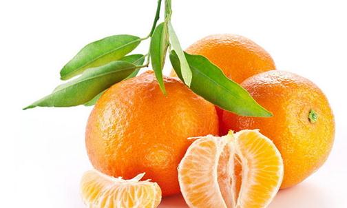 柑橘類家族都有哪些營養高手？