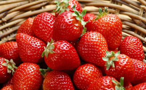 草莓吃多了或腹瀉脫鈣 春季飲食要增甘少酸