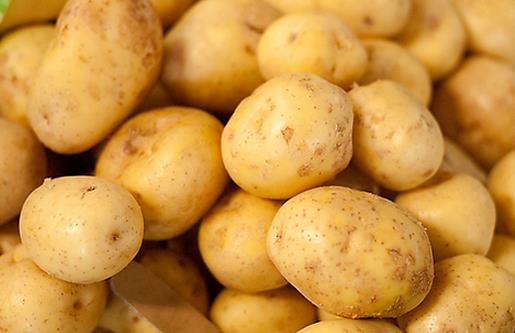 土豆塊越大越營養 蒸著吃營養素損失最少