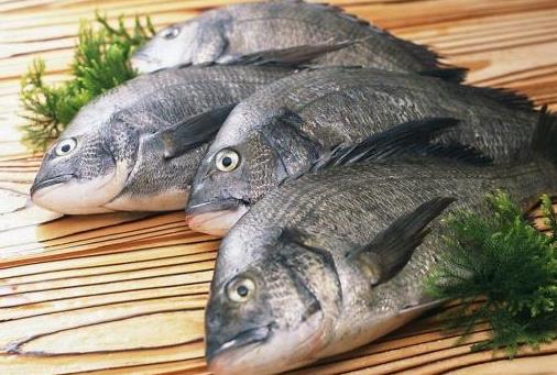 活魚活吃並不好 魚要怎麼吃才健康