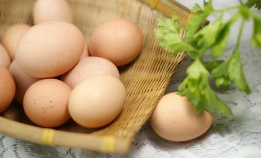 吃什麼食物能夠補腦？雞蛋能健腦