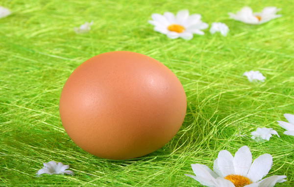 如何健康吃雞蛋 還是煮熟再吃好