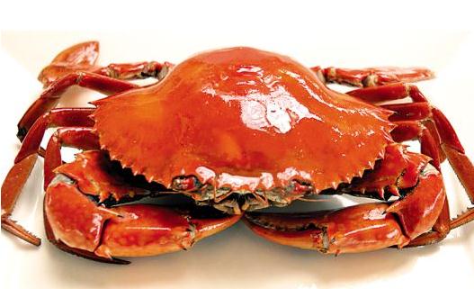 怎麼吃螃蟹最營養？吃螃蟹的三個最佳搭檔