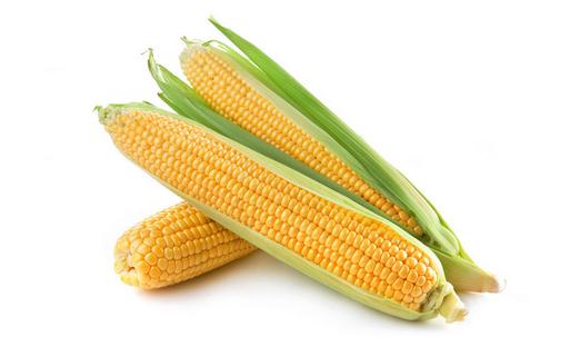 防癌有絕招：多吃玉米能防癌