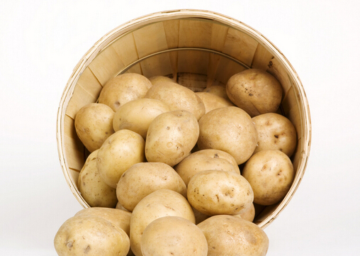 土豆到底是減肥食品還是致胖食品？