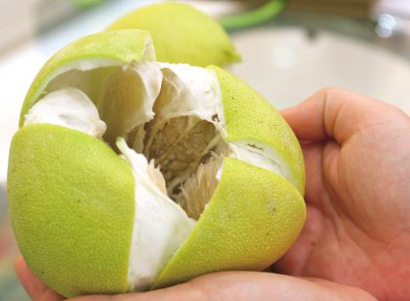 柚子皮怎麼做？柚子皮的功效與作用