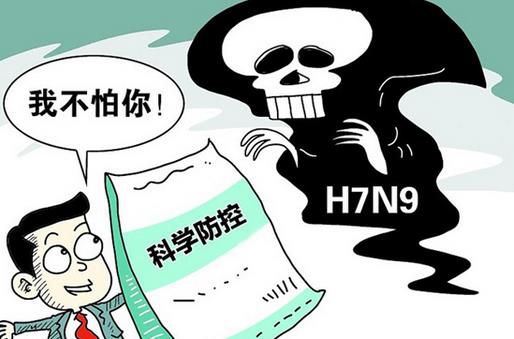 如何從飲食上預防H7N9禽流感病毒