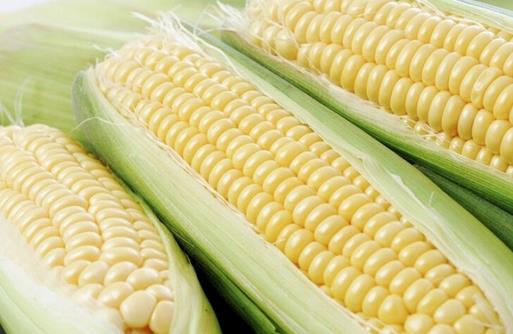 多吃玉米能預防腸癌嗎？如何通過飲食預防腸癌