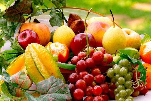 生病時吃什麼水果對身體好？生病時宜吃的水果